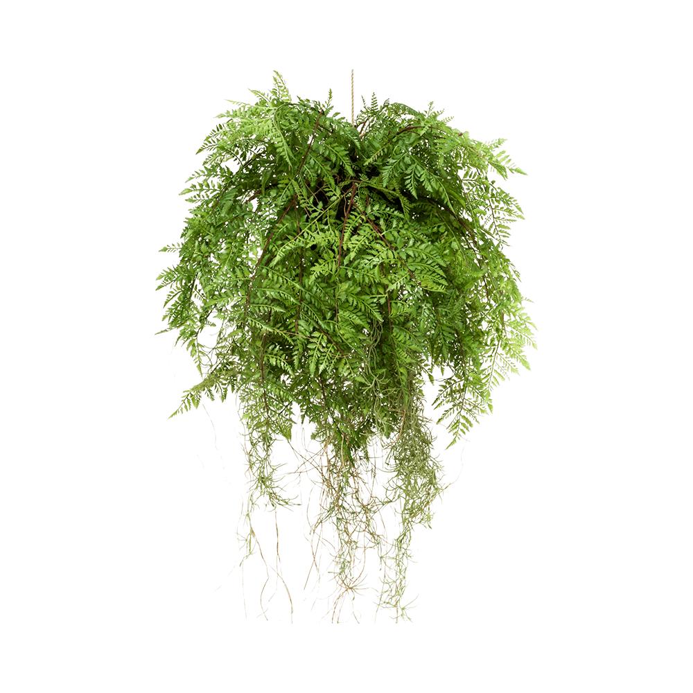 Élethű megjelenésű, 55 cm hosszú, függeszthető kialakítású, páfrány műnövény dekoráció