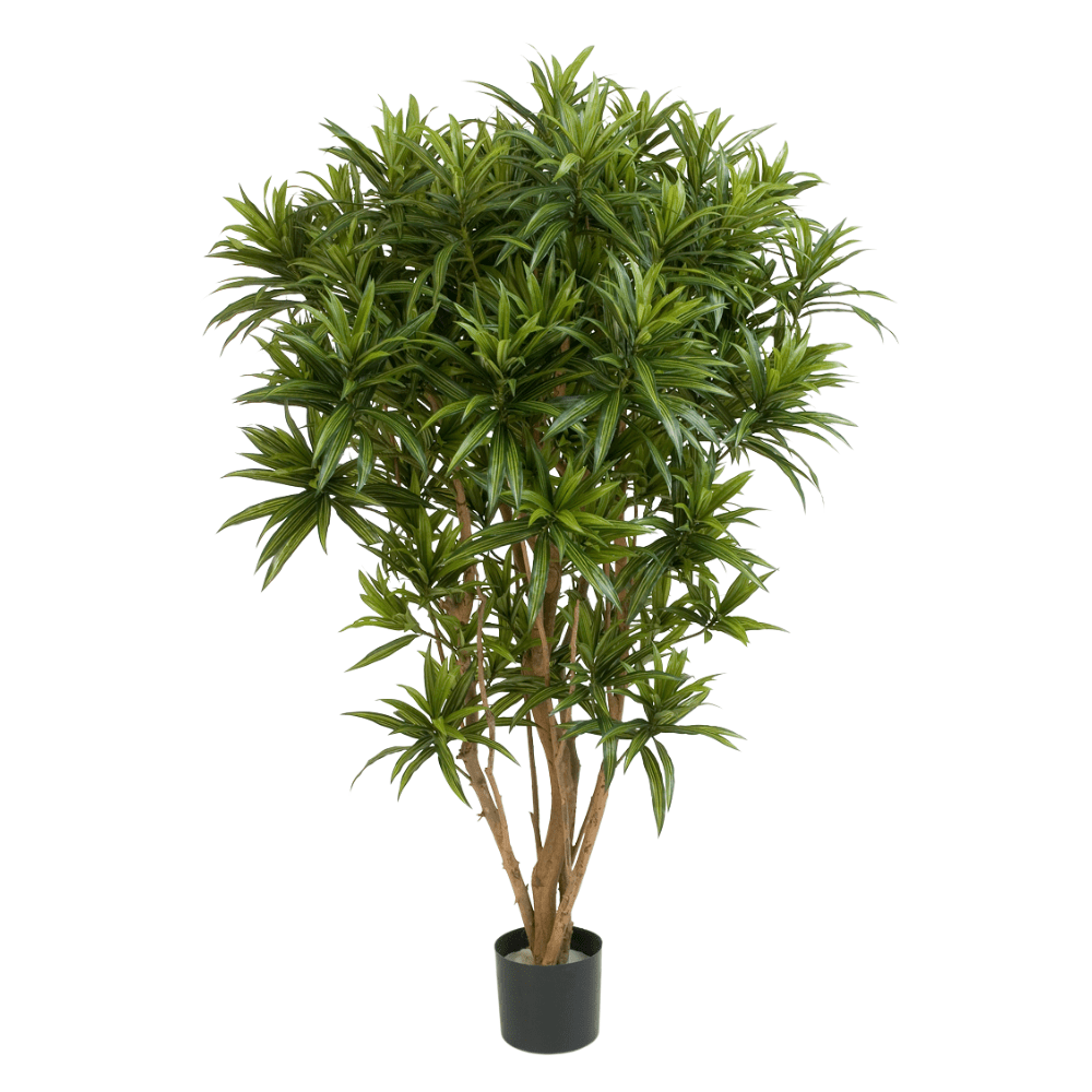 Élethű megjelenésű, mű sárkányfa, fekete színű műanyag cserépben