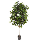 Élethű megjelenésű, fehér színű virágokkal és bimbókkal tarkított kamélia cserje