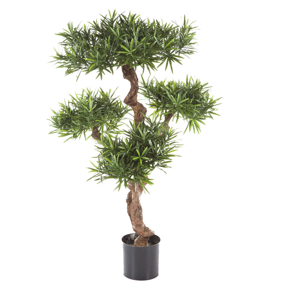 Élethű megjelenésű, mű kőtiszafa, fekete színű műanyag cserépben.