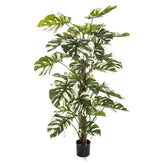 Élethű megjelenésű, fehér foltos filodendron műnövény, fekete műanyag cserépben