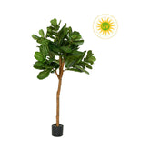 FICUS LYRATA UV-álló fikusz műnövény 150 cm