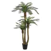 Prémium minőségű, 250 cm magas mű areca pálma fekete cserépben fehér háttér előtt