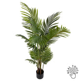 ARECA 145 cm magas mű aranypálma Real Touch, fekete kaspóban, fehér háttéren