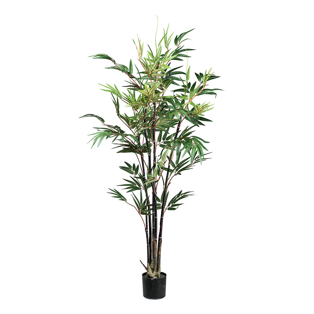 Mű bambusz növény 135 cm-es magasságban, fekete kaspóban, fehér háttér előtt.