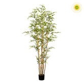 UV-álló, 180 cm magas zöld mű bambusz cserje fekete kaspóban