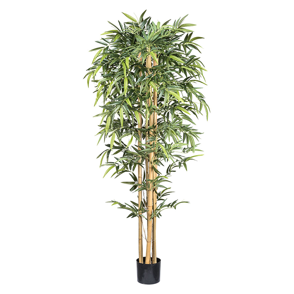 Zöld mű bambusz dekoráció 210 cm magasan, természetes törzzsel