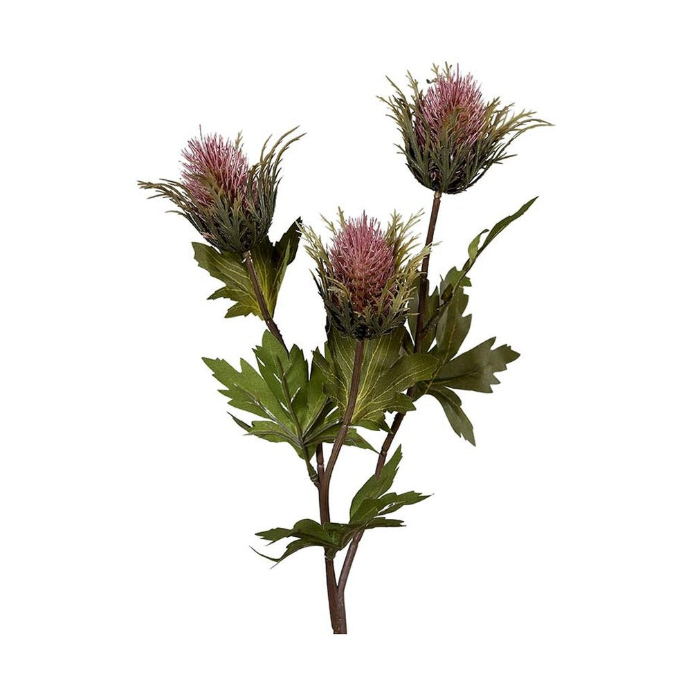 Fáradt pink színárnyalatú bogáncs művirág.