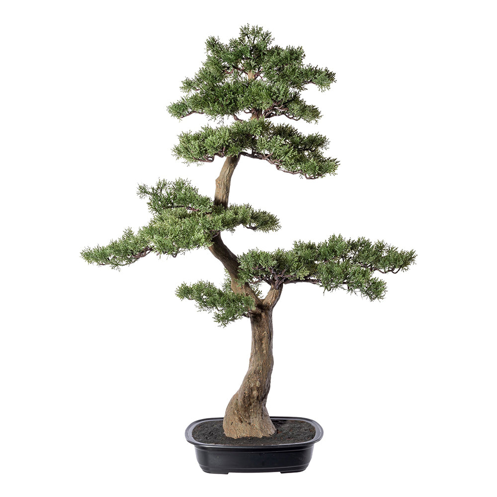 Zöld színű, mű cédrus bonsai fa, fekete színű ovális műanyag cserépben.