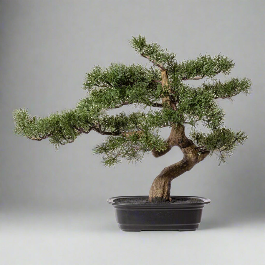 Mű cédrus bonsai fa, fekete színű ovális műanyag cserépben.
