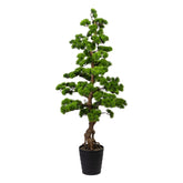 Zöld mű bonsai fenyő fekete kaspóban.