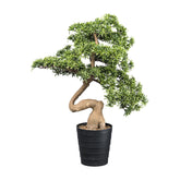 Mű kőfenyő bonsai fa, fekete színű műanyag cserépben.
