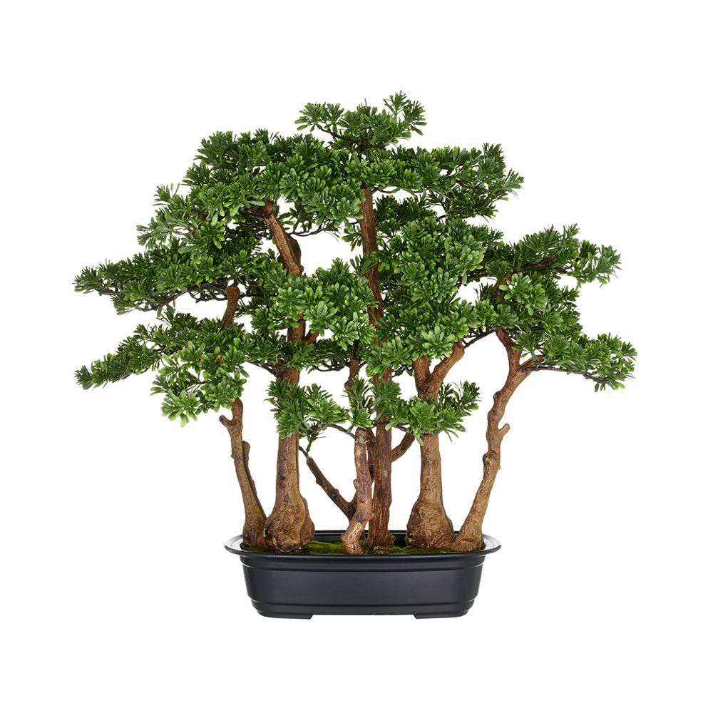 Zöld színű, mű tea bonsai fa, fekete színű műanyag cserépben.