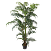 CHAMADOREA zöld mű mexikói bambuszpálma 180 cm