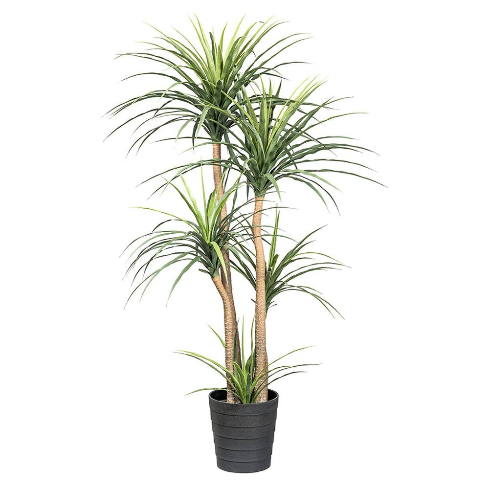 DRACAENA zöld mű sárkányfa 160 cm magas, fekete cserépben, több ággal és élethű levelekkel.