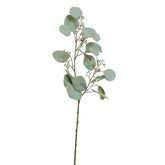 Mű eukaliptusz ág 60 cm magas, bogyós, szürkészöld levelekkel, fehér háttéren.