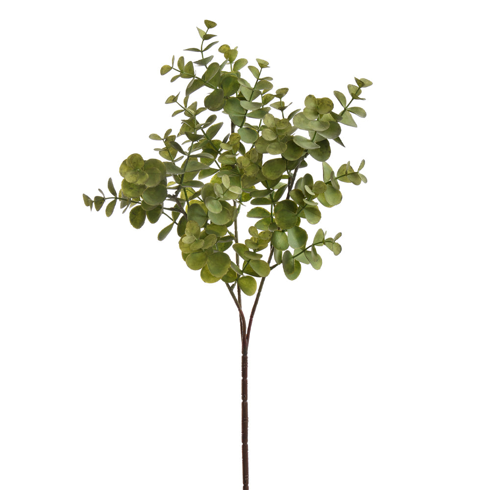 Zöld mű eukaliptusz ág fehér háttérrel, 69 cm magas.