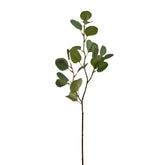 Teljes méretű zöld mű eukaliptusz ág fehér háttérrel, 76 cm magas