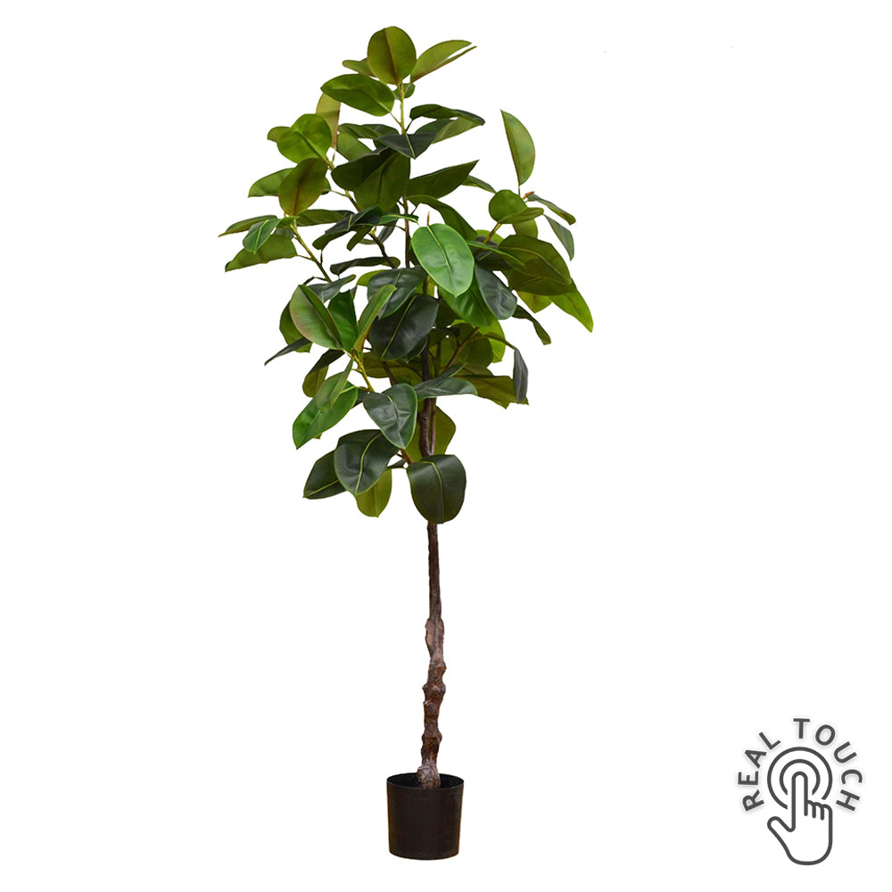 210 cm magas, Real Touch mű szobafikusz fekete kaspóban.