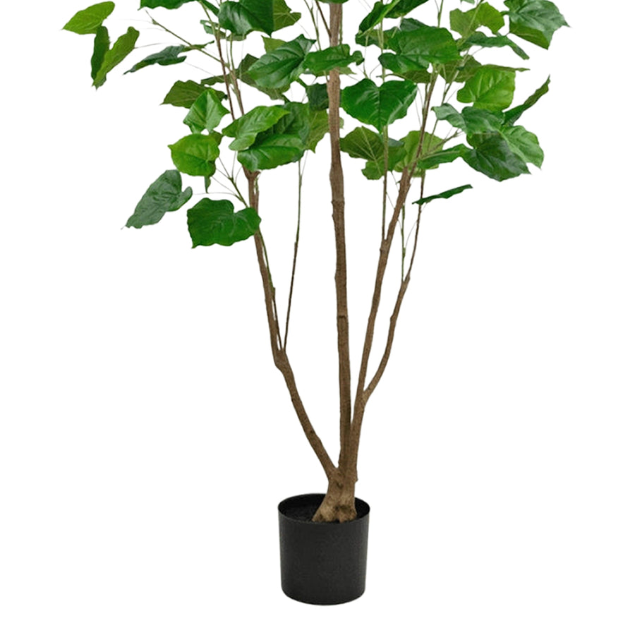 FICUS mű fikusz fa valódi fatörzseinek részlete és fekete, hengeres alapja.