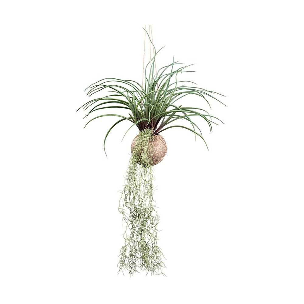 Függeszthető kialakítású, szakállbromélia műnövény dekoráció.