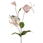 Púderszínű, fényes felületű, koronásliliom művirág.