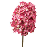 Élénk pink színű bugás mű hortenzia virág, fehér háttérrel, részletgazdag megjelenéssel