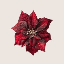 Karácsonyi Dekornövények