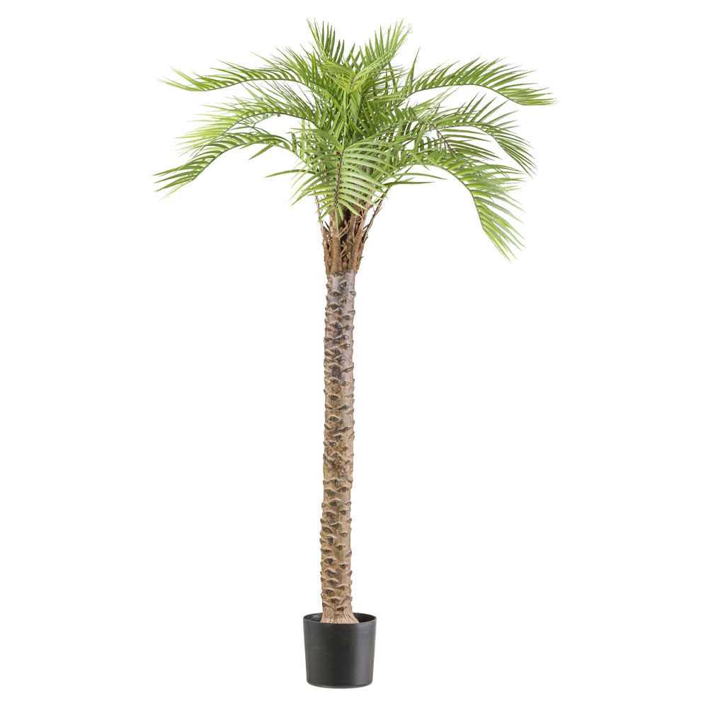 MACAUBA PALM zöld mű pálmafa 175 cm fekete műanyag kaspóban