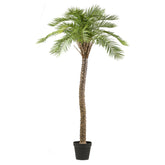 MACAUBA PALM zöld mű pálmafa 235 cm fekete műanyag kaspóban