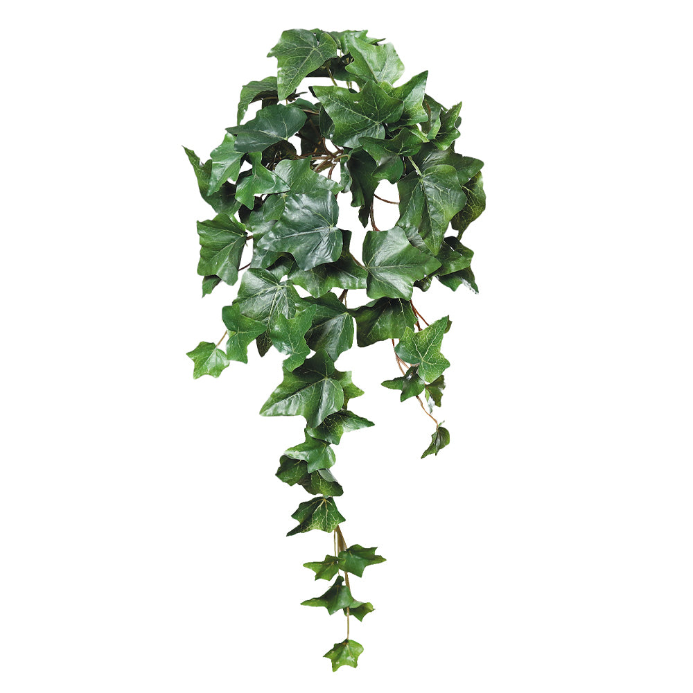 Zöld színű borostyán csüngő műnövény.