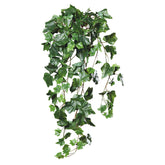 Zöld színű borostyán csüngő műnövény.