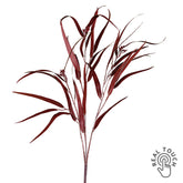 Bordó színű eukaliptusz ág műnövény.