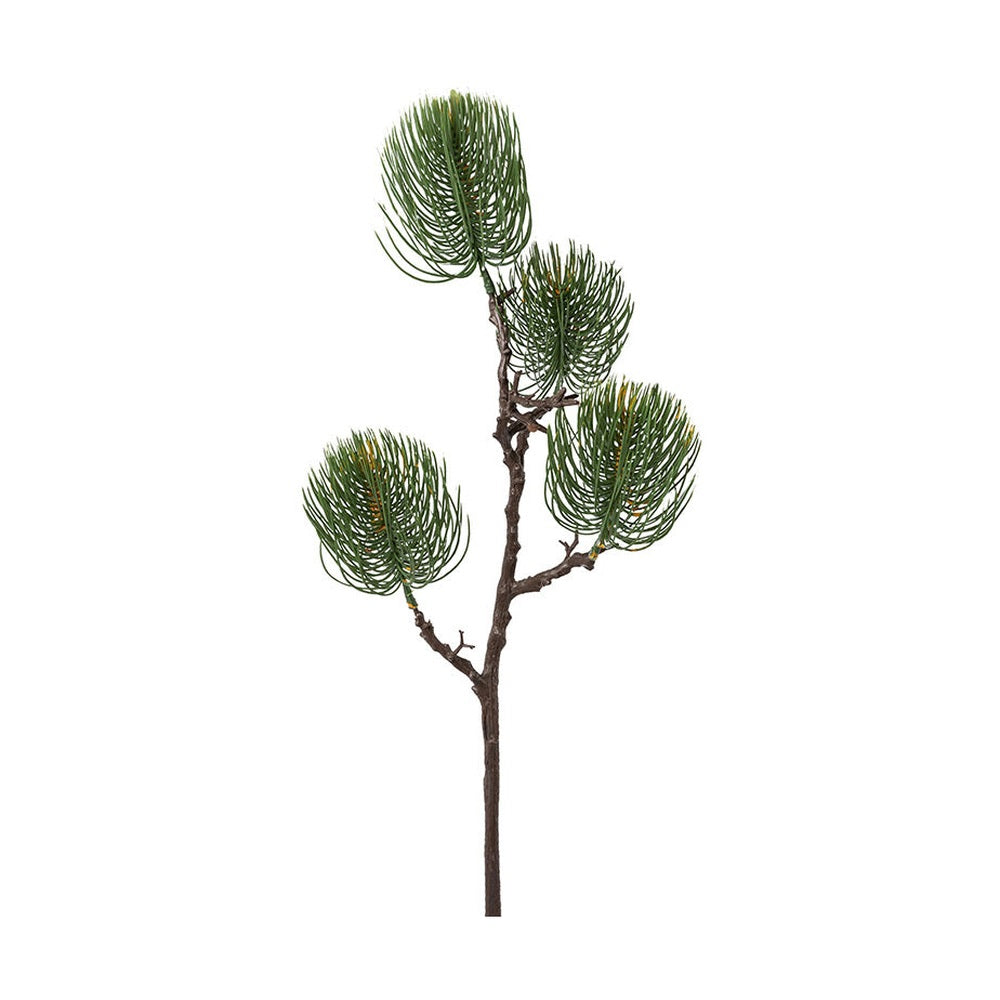 Mű feketefenyő ág.