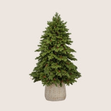 Mű Fenyő & Örökzöld