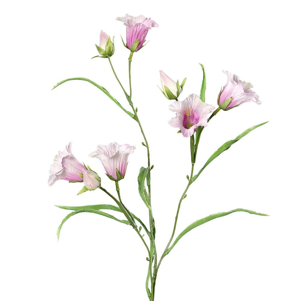 Halvány rózsaszín színű mű harangvirág.