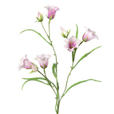 Halvány rózsaszín színű mű harangvirág.