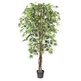 Zöld színű, mű japán juhar fa, fekete műanyagcserépben.