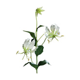 Krémszínű koronásliliom művirág.