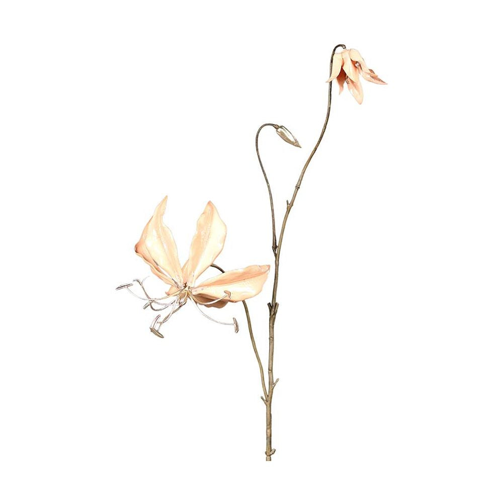 Fényes lazacszínű koronásliliom művirág .