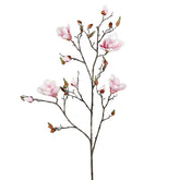 Halvány rózsaszín színű magnólia művirág, nyílt, bimbós és rügyező virágokkal.