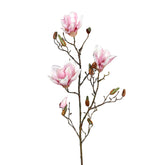 Halvány rózsaszín színű magnólia művirág, nyílt, bimbós és rügyező virágokkal.