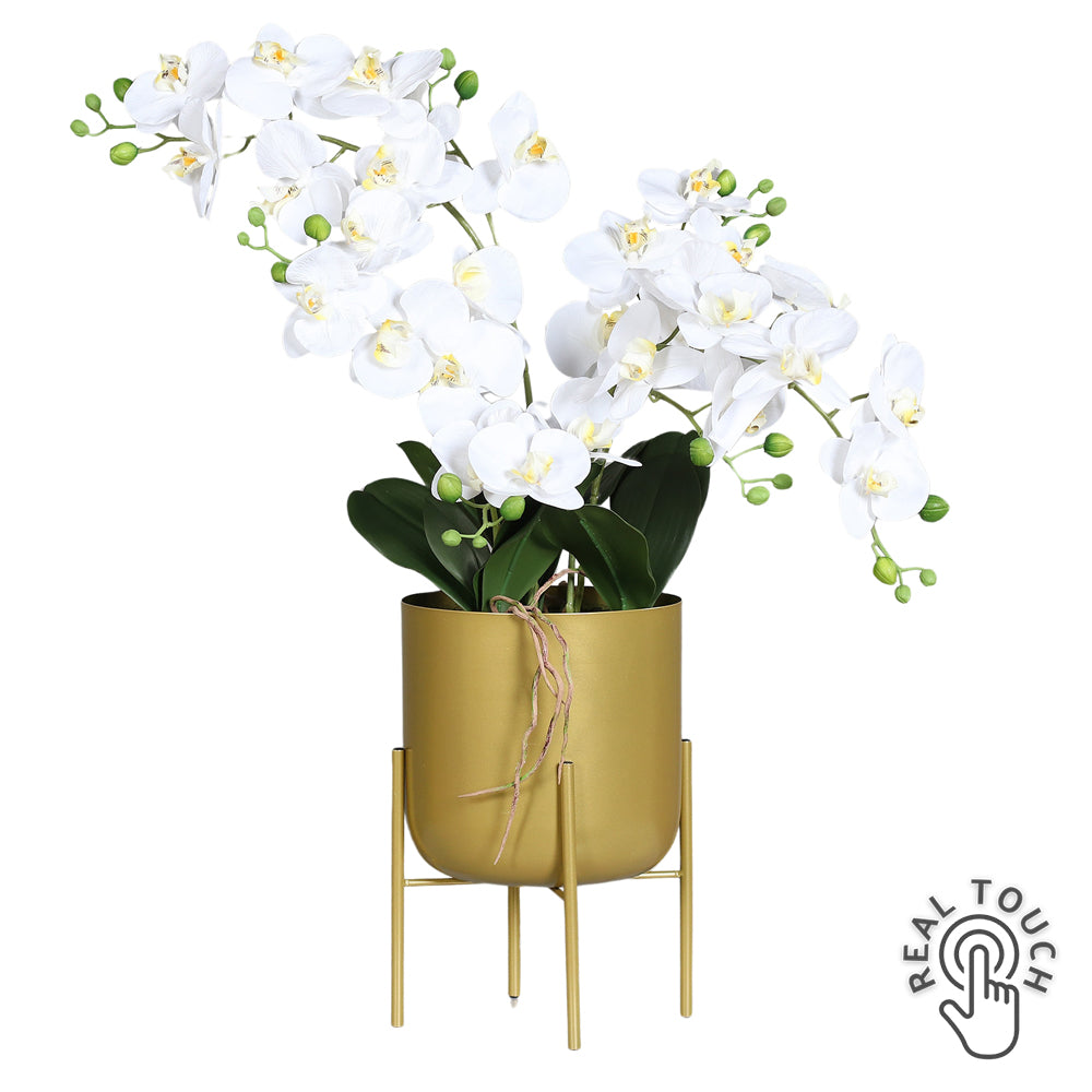 Krémszínű Real Touch mű orchidea 70 cm, aranyszínű modern fém kaspóban.
