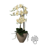 Púderszínű mű orchidea, világosbarna kerámia kaspóban.