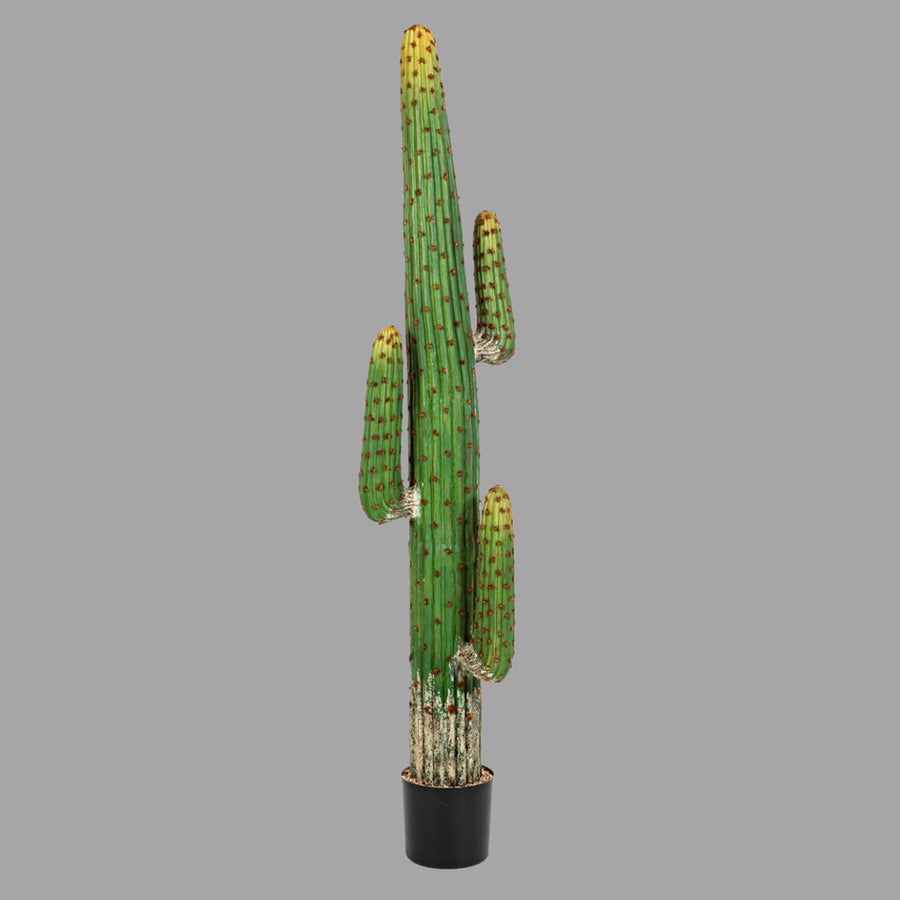 Green 170 cm artificial candelabra cactus with aging trunk in a black pot on a gray backdrop