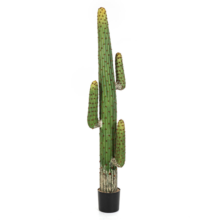 Tall green 170 cm artificial cactus with multiple arms in a black plastic pot from the Cactus collection