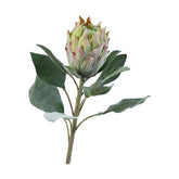 Bársonyos tapintású,, zöld színű szálas mű protea virág.