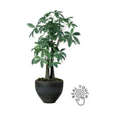 Vadkakaó fa műnövény, fekete színű műanyag cserépben.