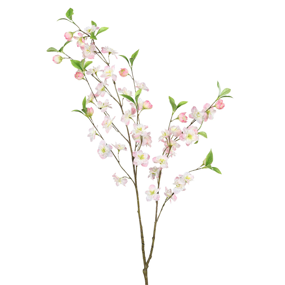 Virágzó mű cseresznyefa ág, halvány rózsaszín színű nyílt és bimbós virágokkal.