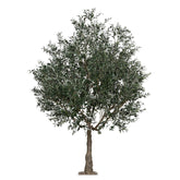 Extra dús lombkoronával kialakított mű olajfa.